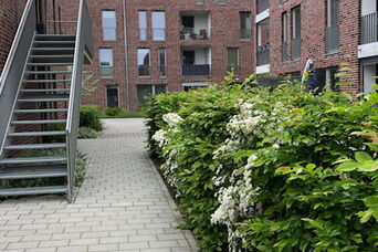 Neubau "Wohnen für Jung und Alt Ratzeburger Allee" 4. bis 6. BA in Lübeck <br>Bauzeit: 2020-2022 <br>Leistungsspektrum: HOAI Phase: 3-9